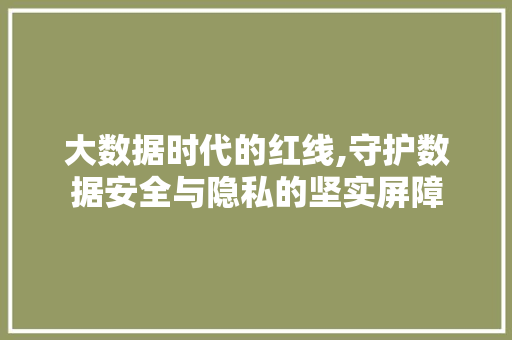 大数据时代的红线,守护数据安全与隐私的坚实屏障 缓存Redis