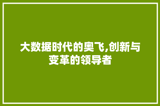 大数据时代的奥飞,创新与变革的领导者 市场营销范文