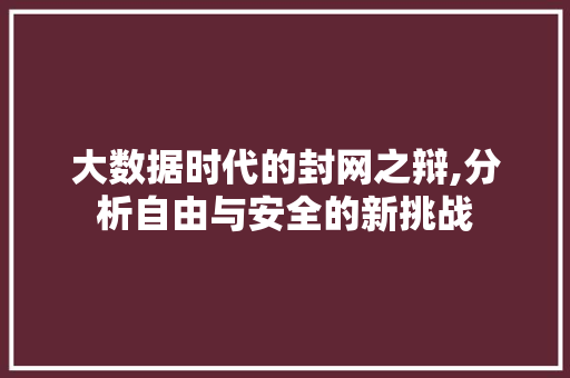 大数据时代的封网之辩,分析自由与安全的新挑战 项目报告