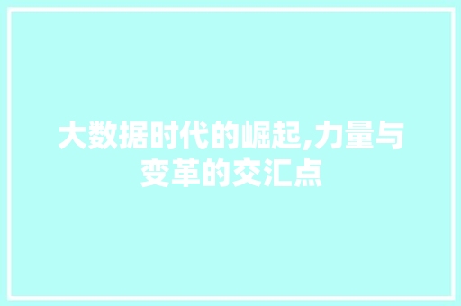大数据时代的崛起,力量与变革的交汇点
