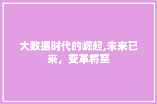 大数据时代的崛起,未来已来，变革将至 市场营销范文