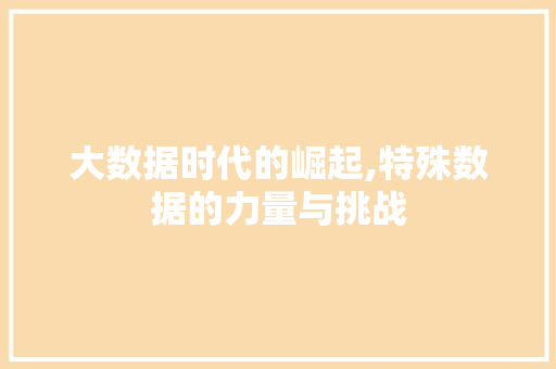 大数据时代的崛起,特殊数据的力量与挑战
