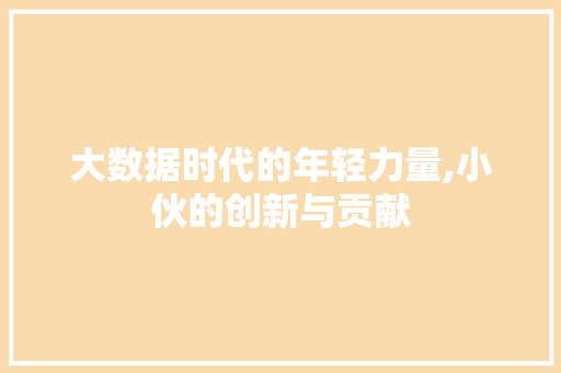 大数据时代的年轻力量,小伙的创新与贡献
