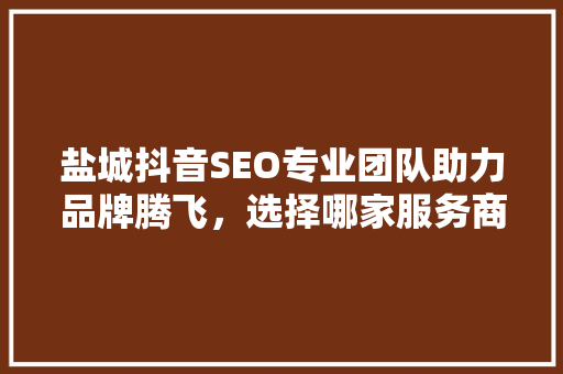 盐城抖音SEO专业团队助力品牌腾飞，选择哪家服务商最明智