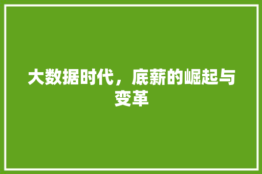 大数据时代，底薪的崛起与变革