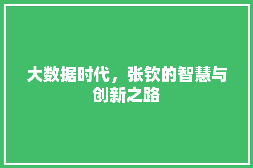 大数据时代，张钦的智慧与创新之路 项目报告
