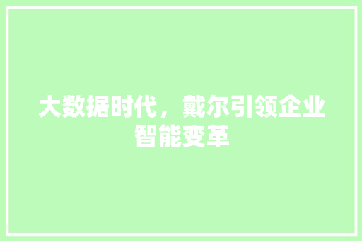 大数据时代，戴尔引领企业智能变革 前端技术