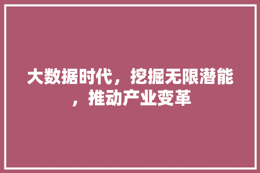 大数据时代，挖掘无限潜能，推动产业变革 网站建设