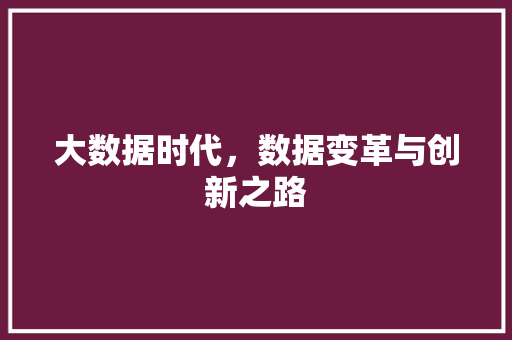 大数据时代，数据变革与创新之路