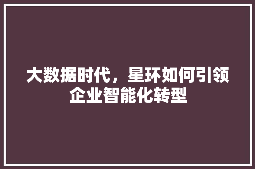 大数据时代，星环如何引领企业智能化转型 网站建设