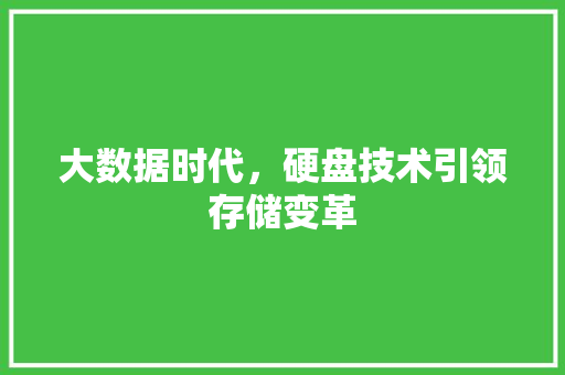 大数据时代，硬盘技术引领存储变革