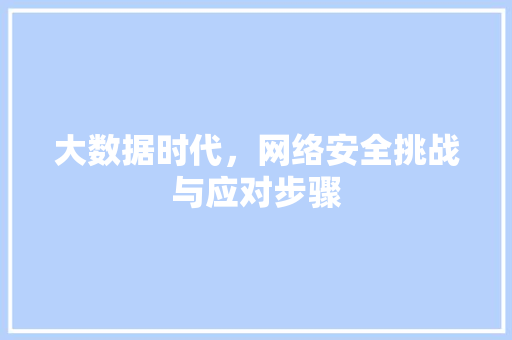 大数据时代，网络安全挑战与应对步骤 缓存Redis