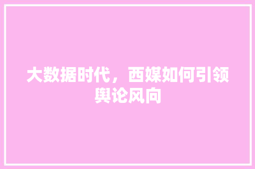 大数据时代，西媒如何引领舆论风向 前端技术