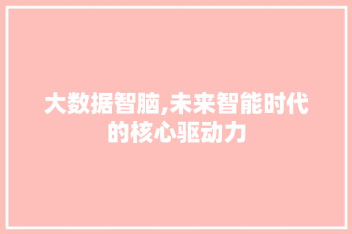 大数据智脑,未来智能时代的核心驱动力 前端技术