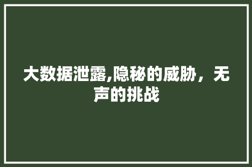 大数据泄露,隐秘的威胁，无声的挑战 缓存Redis