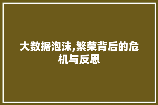 大数据泡沫,繁荣背后的危机与反思