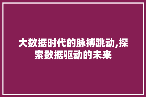 大数据时代的脉搏跳动,探索数据驱动的未来 前端技术
