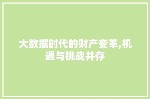 大数据时代的财产变革,机遇与挑战并存