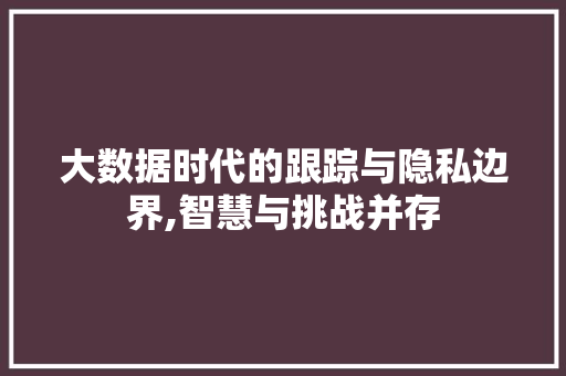 大数据时代的跟踪与隐私边界,智慧与挑战并存