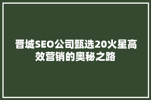 晋城SEO公司甄选20火星高效营销的奥秘之路