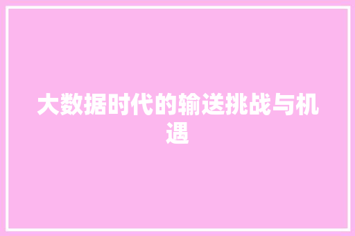 大数据时代的输送挑战与机遇