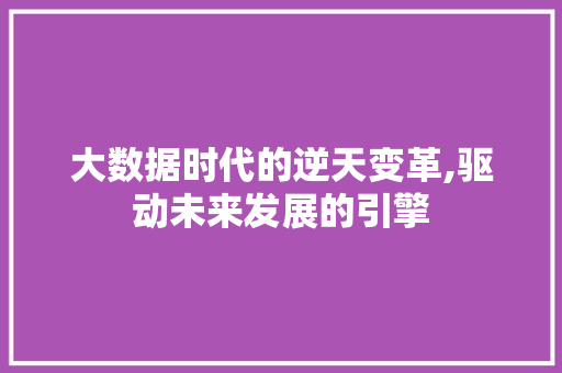 大数据时代的逆天变革,驱动未来发展的引擎
