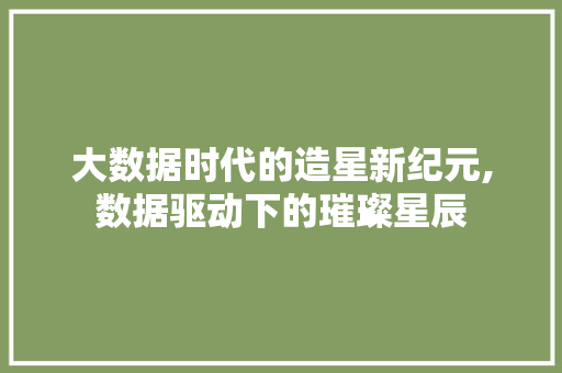 大数据时代的造星新纪元,数据驱动下的璀璨星辰 后端技术