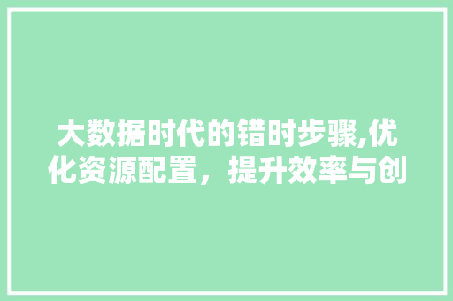 大数据时代的错时步骤,优化资源配置，提升效率与创新