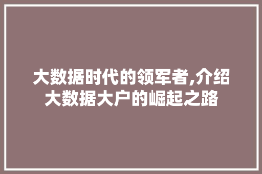 大数据时代的领军者,介绍大数据大户的崛起之路 网站建设