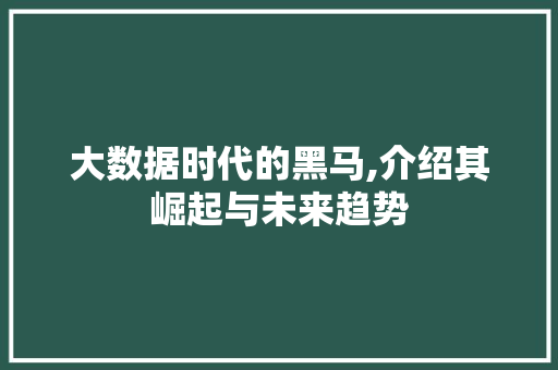 大数据时代的黑马,介绍其崛起与未来趋势
