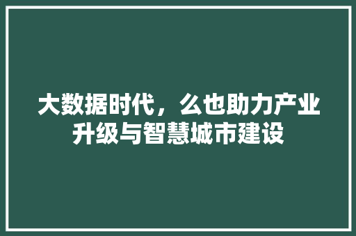 大数据时代，么也助力产业升级与智慧城市建设 后端技术