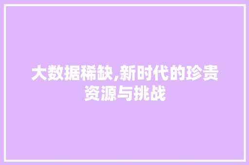 大数据稀缺,新时代的珍贵资源与挑战