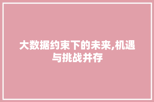 大数据约束下的未来,机遇与挑战并存 网站建设