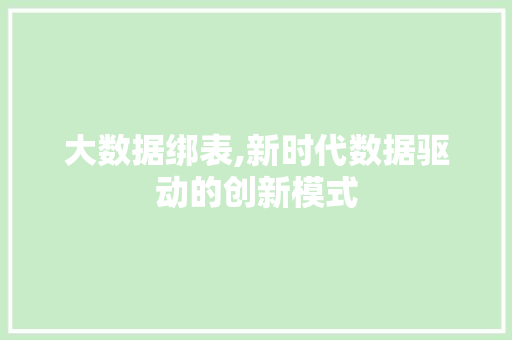 大数据绑表,新时代数据驱动的创新模式