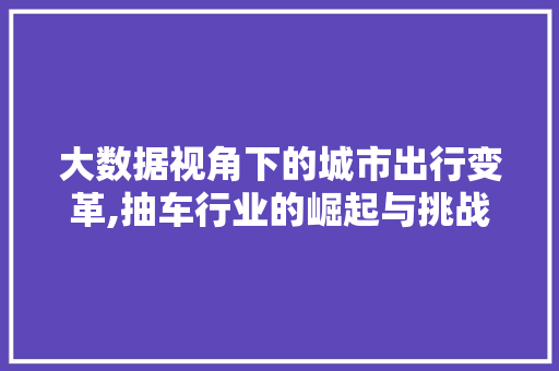大数据视角下的城市出行变革,抽车行业的崛起与挑战 市场营销范文