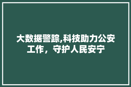 大数据警踪,科技助力公安工作，守护人民安宁 市场营销范文