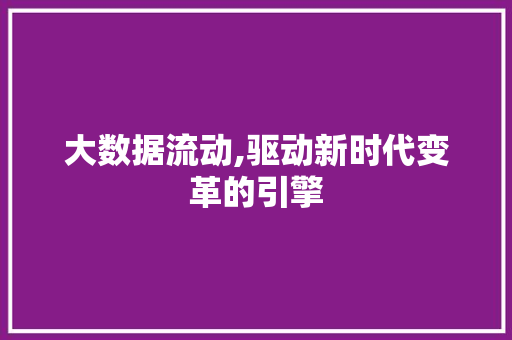 大数据流动,驱动新时代变革的引擎