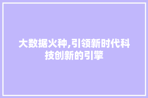 大数据火种,引领新时代科技创新的引擎 项目报告