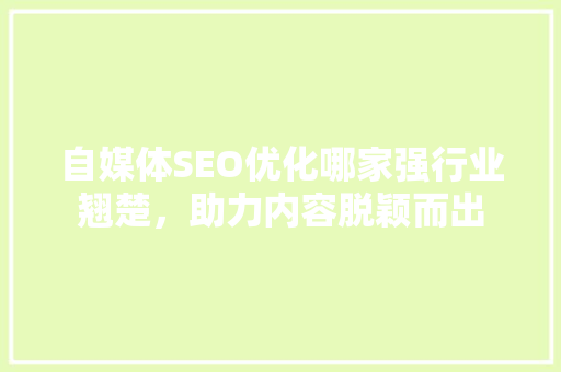 自媒体SEO优化哪家强行业翘楚，助力内容脱颖而出