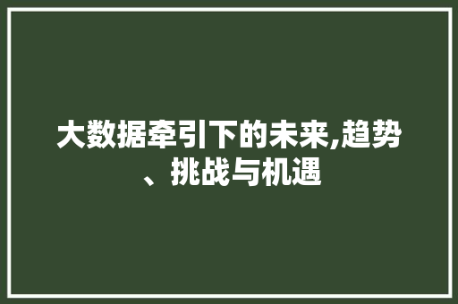 大数据牵引下的未来,趋势、挑战与机遇