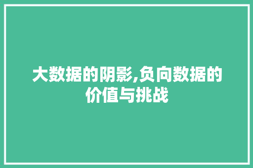 大数据的阴影,负向数据的价值与挑战