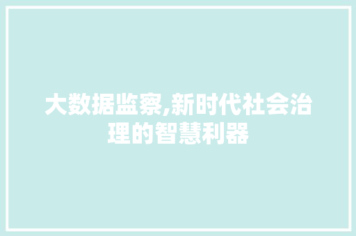 大数据监察,新时代社会治理的智慧利器