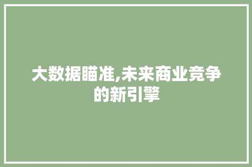 大数据瞄准,未来商业竞争的新引擎 项目报告