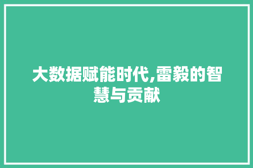 大数据赋能时代,雷毅的智慧与贡献 项目报告