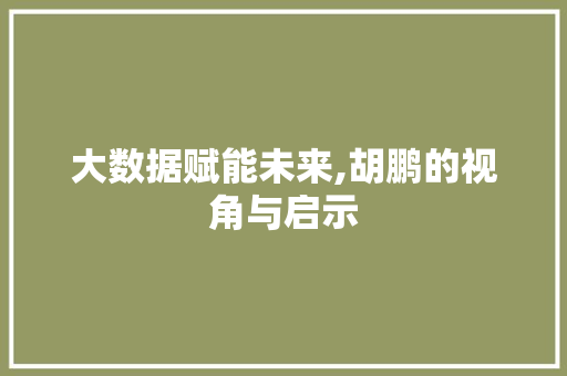 大数据赋能未来,胡鹏的视角与启示 缓存Redis