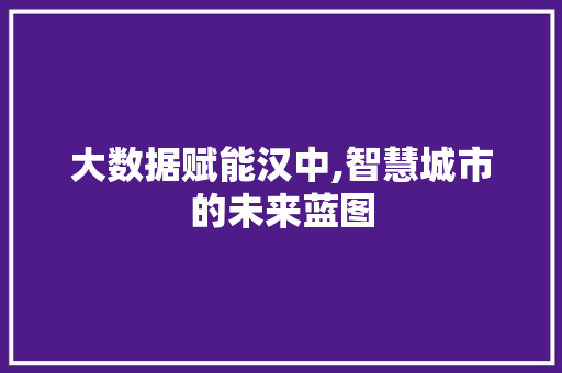 大数据赋能汉中,智慧城市的未来蓝图 网站建设
