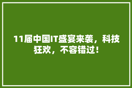 11届中国IT盛宴来袭，科技狂欢，不容错过！ 缓存Redis