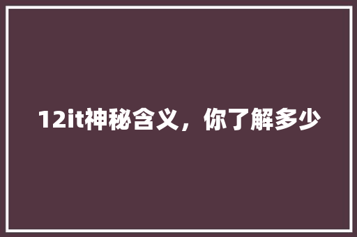12it神秘含义，你了解多少 MySQL