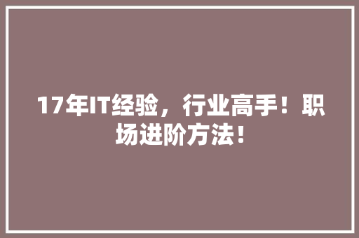 17年IT经验，行业高手！职场进阶方法！ 市场营销范文