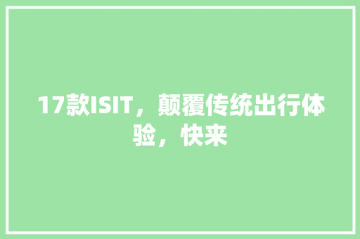 17款ISIT，颠覆传统出行体验，快来 项目报告